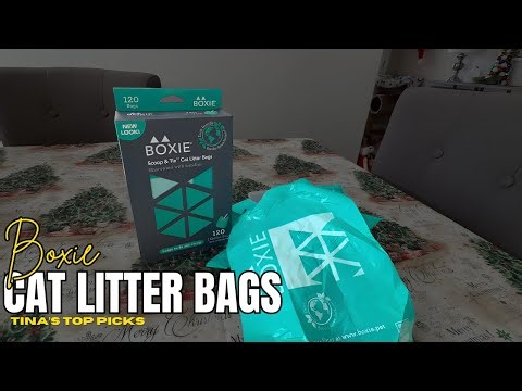 Boxie Cat Litter Bags Everyday Use And Setup