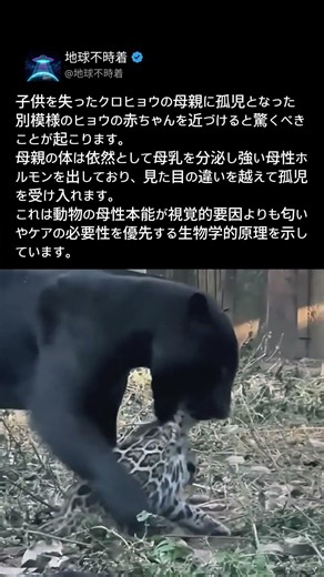 見た目が違っても我が子？科学者も驚く野生動物の母性ホルモン