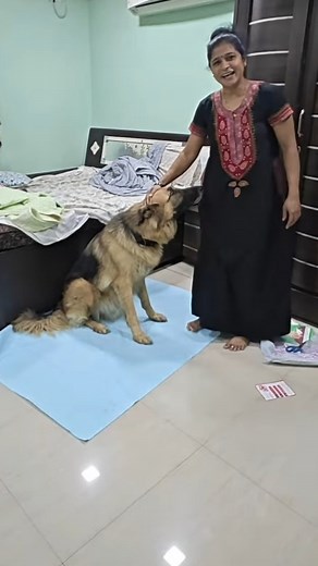 the German on Instagram: "Tigers new flooring mat"