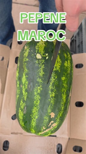 FRESH ATTACK: Experiența Exotică din Târgu Mureș