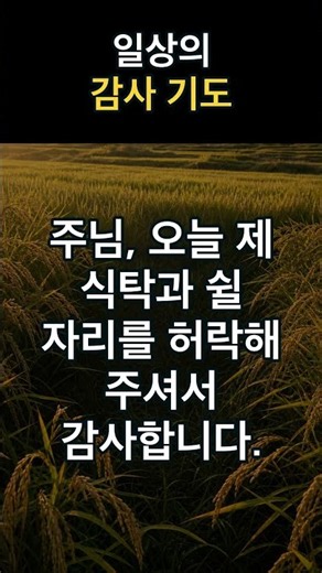 오늘 필요한 것을 채워 주신 은혜에 감사하는 기도 #기도예문 #대표기도문모음 #기도문모음