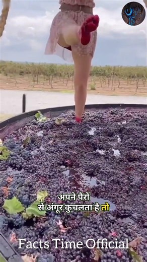 शराब बनाने की प्रक्रिया का रहस्य Secret of wine making process