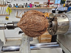 Can you Turn a Coconut into a Music Radio ? | Nick Zammeti