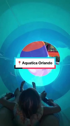 Summer is always our state of mind 💦☀️ Aquatica Orlando offers endless fun for adventure seekers and water park lovers. With two wave pools, two kids' areas, a lazy river, and dozens of slides, the summer vibes never end. 📍 : @AquaticaOrlando IG 🎥 : themeparkfrog #thingstodoinorlando #aquaticaorlando #waterpark #orlandowaterpark #summer #waterslide #orlandopark