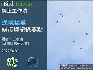 eBird Taiwan線上工作坊 - 過境猛禽辨識與紀錄要點 2022.9.20