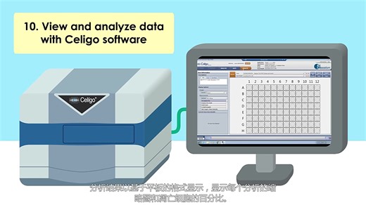 科研视频Caspase-3活性检测-2