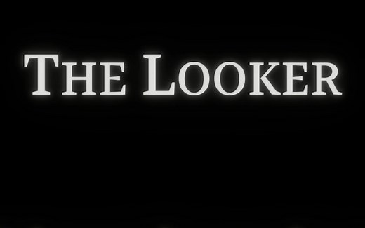 《目击者/The Looker》全成就通关攻略