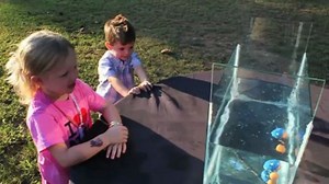 Poop Splash Elimination - Smarter Every Day 22