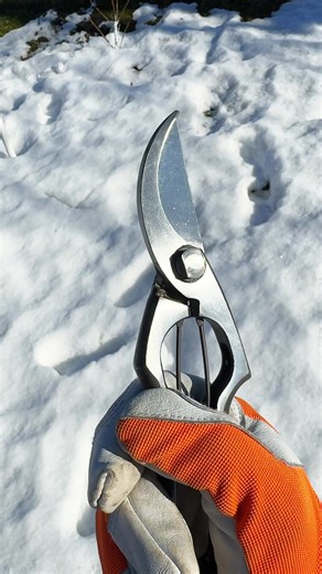 Tobisho Type A: Essential Garden Tool from Japan