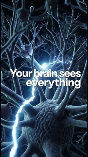 “What Your Eye Is Hiding From You”