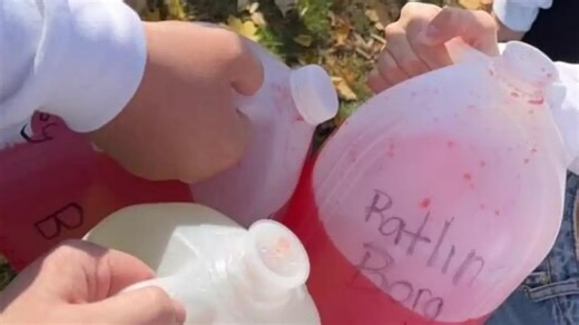 Experts Warn Against The Dangerous BORG Trend On Social Media: Here Are The Side Effects Of Binge Drinking