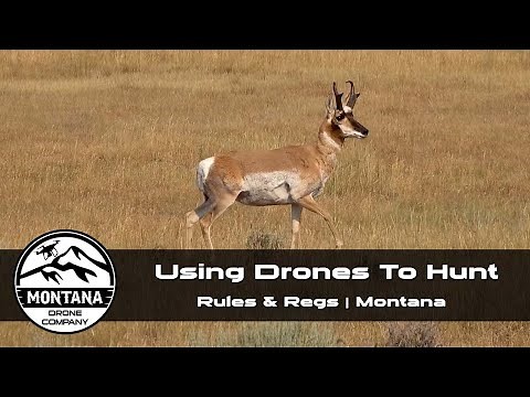 Can You Use Drones While Hunting | Drone Laws For Scouting Animals | Montana Drone Company