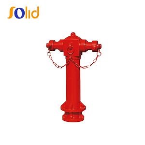 [Hot Item] Pillar Fire Hydrant, 2 Ways Fire Hydrant, Wet Type Fire Hydrant