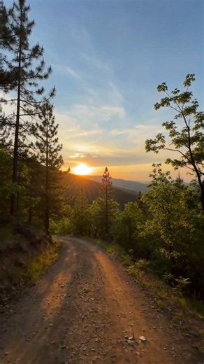 Path Less Traveled | Acoustic and Cello Music