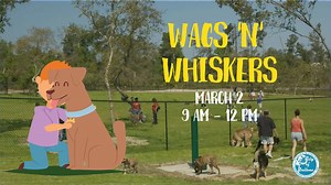 Do you need to update your dog or cat’s shots or get a license for their collar? Deltona Parks & Recreation along with Help Animals Inc., can help with that at the 14th Annual Wags ‘N’ Whiskers Pet Festival which is just around the corner. This year’s festival will be from 9 a.m. to noon, March 2, at the Keysville Dog Park, 2461 Keysville Ave. Low cost pet vaccinations are cash only and will include— $6 rabies vaccinations with a certificate, $15 kennel cough/Bordetella, $15 feline leukemia and 