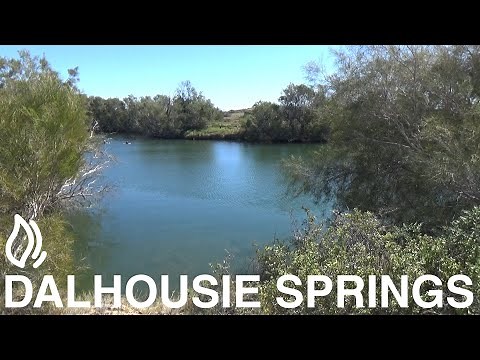 Dalhousie Springs Campground - Witjira National Park, South Australia