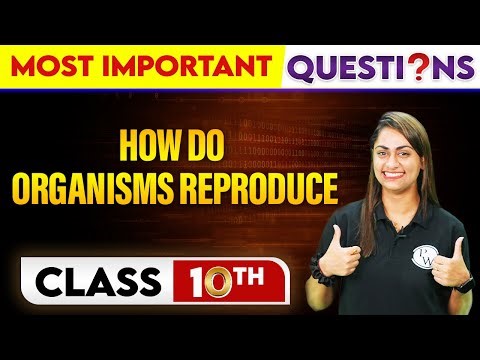 HOW DO ORGANISMS REPRODUCE- Most Important Questions || Class-10th