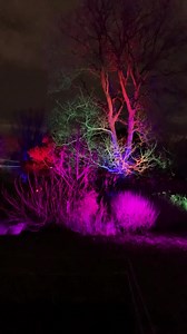 Paige Davis on Reels | Facebook