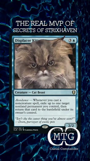 Displacer Kitten has been waiting for Secrets of Strixhaven - MTG Casual Commander #mtg #mtgmemes
