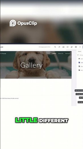 Create a Stunning Gallery & Add Subpages Easily!