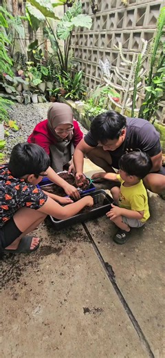 Berkebun Menyenangkan dengan Media Tanam Baru