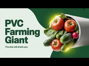 “I Grew Giant Vegetables in a PVC Pipe — No Farm Needed!”