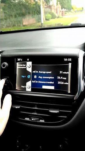 Peugeot 208 Screen Frozen 2