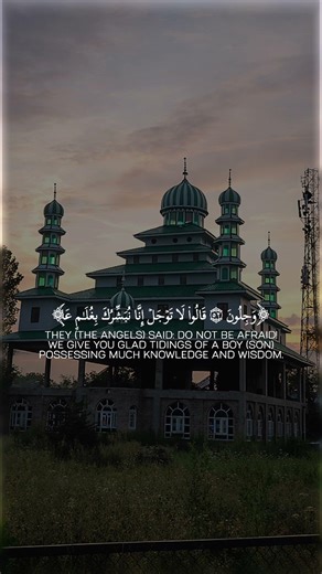 A Warning That Shakes the Heart | Tilawat-e-Qur’an