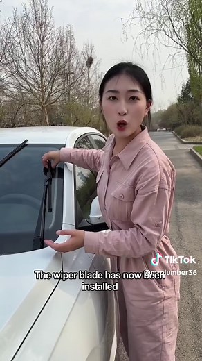 Fix Sizzling Wiper Noise Without Spending a Penny