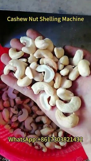 Cashew Nut Shelling Machine Working Video | Automatic Cashew Processing