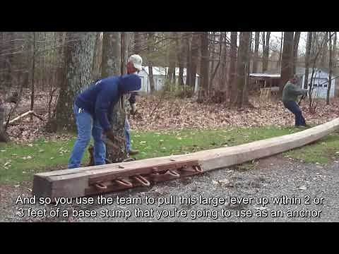 Stump Puller Demo & Explanation