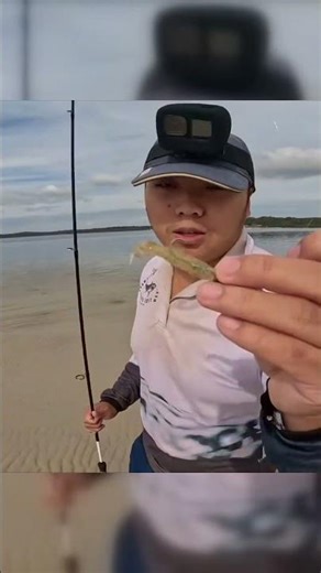 Catching Whiting using Soft Plastics?