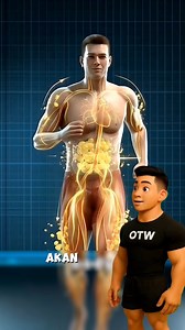 Latihan Puasa: Bakar Lemak atau Turun Performa? #FastedTraining #BakarLemak #FitnessScience #LatihanPagi #HealthyLifestyle | OTW