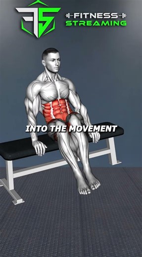 A Simple Bench Can Unlock a Complete Workout With These 5 Powerful Exercises 💪