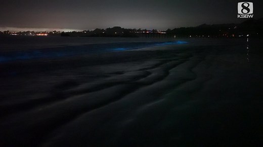 GLOWING WAVES: Bioluminescent plankton brightening up the shoreline at Seacliff State Beach in Aptos. The glorious blue glow in the water is generated by a common species of plankton called Lingulodinium polyedra. Members of Lingulodinium polyedra, a species of single-celled dinoflagellates, appear to be a reddish-brown during the day and then emit light by way of bioluminescence at night. https://bit.ly/3fwczOm | KOCO 5 News