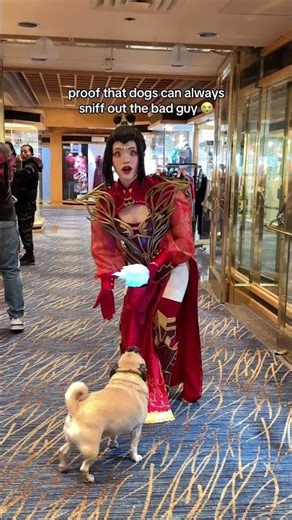 became the :o emoji #azulacosplay #atlacosplay #avatarthelastairbender #cosplaycraftsmanship #cos