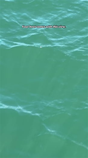 Nice breeze, gentle pedaling, and views that never get old 🌊 A simple way to unplug, be on the water, and enjoy San Diego Bay at your own pace. #sandiegoadventures #sandiegotravel #sandiegotrip #vacation #theview