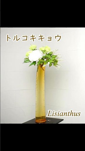 【初夏のいけばな】 初心者でもコツが分かればとっても簡単！ 生け方の基本からアレンジまでサクッと紹介。Japanese ikebana lesson for beginners