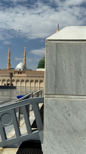 Haseeb Butt on Instagram: "鹿❤️鹿"