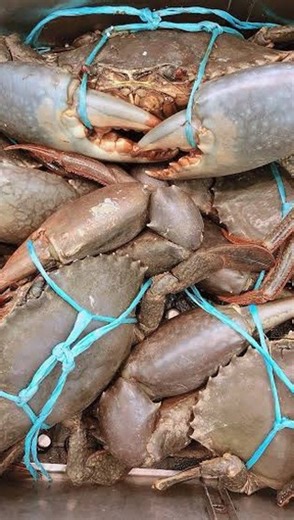 49 reactions · 12 comments |  A pot ain’t a pot until it’s a Wilson...