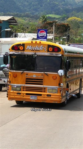 Exploring LA 205: The Bus Journey