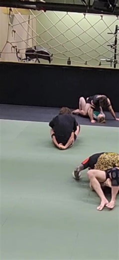 Mastering the Butterfly Sweep in Jiu-Jitsu