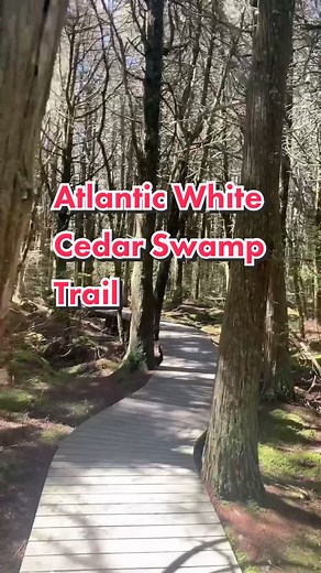 Must Visit Attractions in Wellfleet, Cape Cod