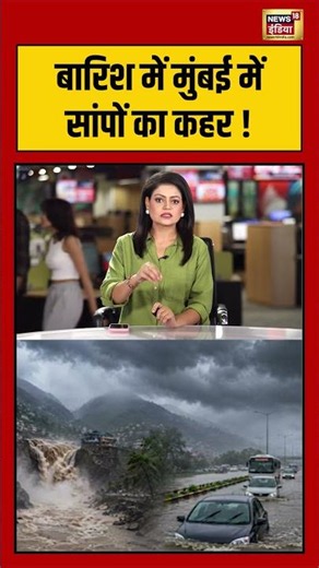 Mumbai Rains: बारिश में मुंबई में सांपों का कहर ! | Heavy rain | #shorts | Moonson | IMD