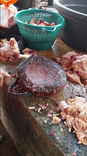 Beginner’s Guide to Chicken Cutting – Step by Step