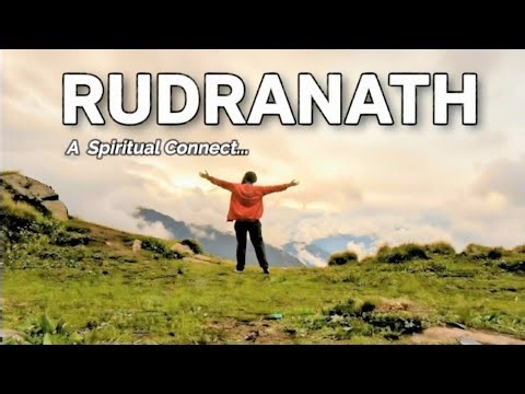 Rudranath Trek - Toughest Panch Kedar : When a Group Trip Turned into a Solo Journey