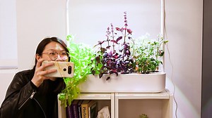 This smart garden grows food with minimal effort. 🌱 | Insider Home