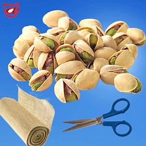 Surprisig Home decor with Pista Shells !! Wow | Craft Engineer