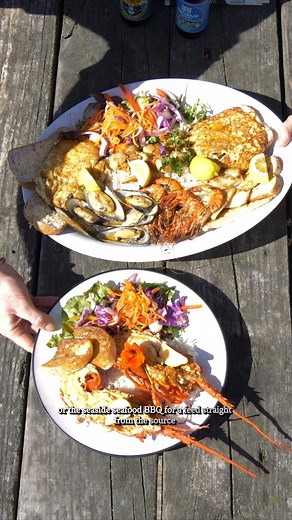 Fresh from the ocean to your plate, that's the Kaikōura way. From beachside caravans to ocean view dining, every bite tells a story of this coastal paradise. Taste the sea, savour the moment. #kaikoura #seafood #nzmustdo #aptroute | Kaikoura NZ
