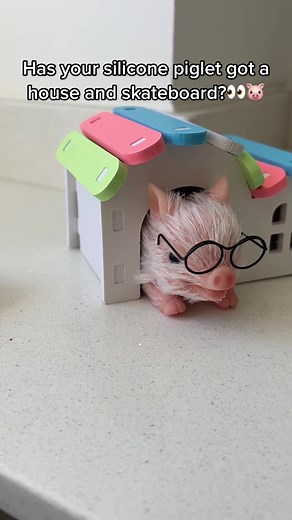 Setting Up a Silicone Pig House: Tips and Tricks